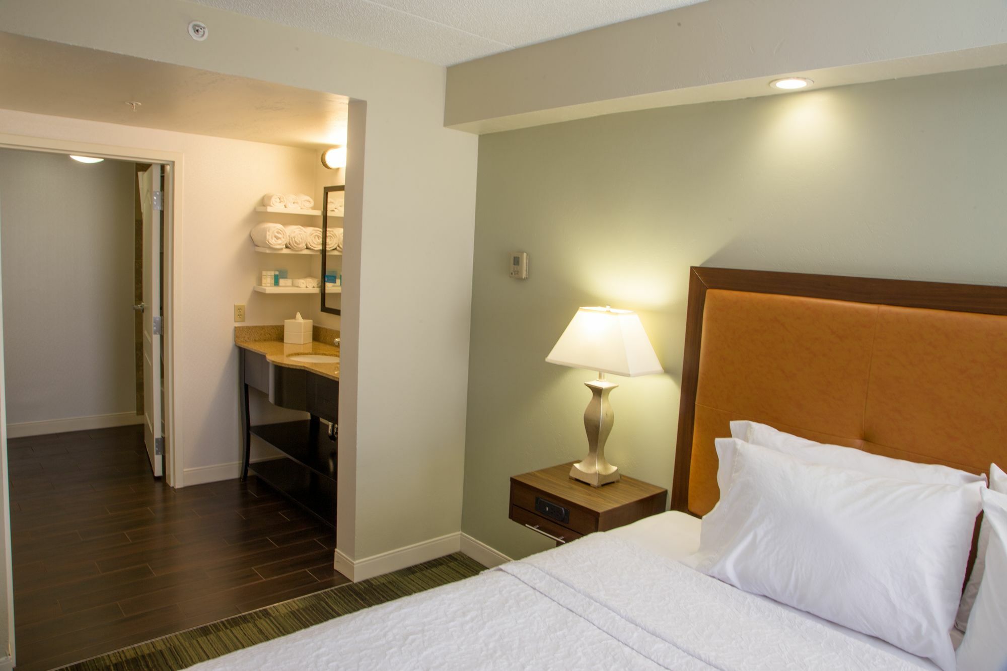 Hampton Inn & Suites Albany-Downtown Esterno foto